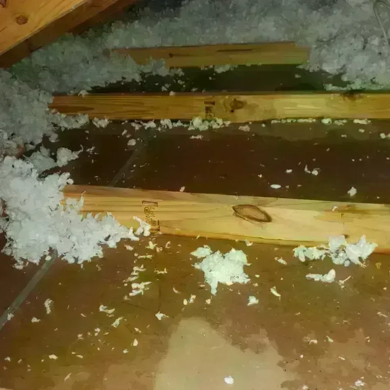 Attic Water Damage in Shepherd, MI