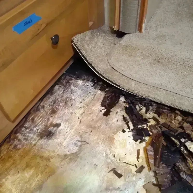 Wood Floor Water Damage in Shepherd, MI